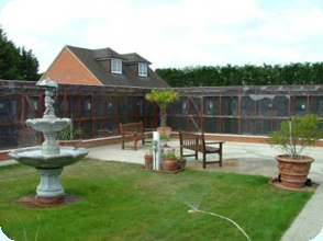 Cattery Picture